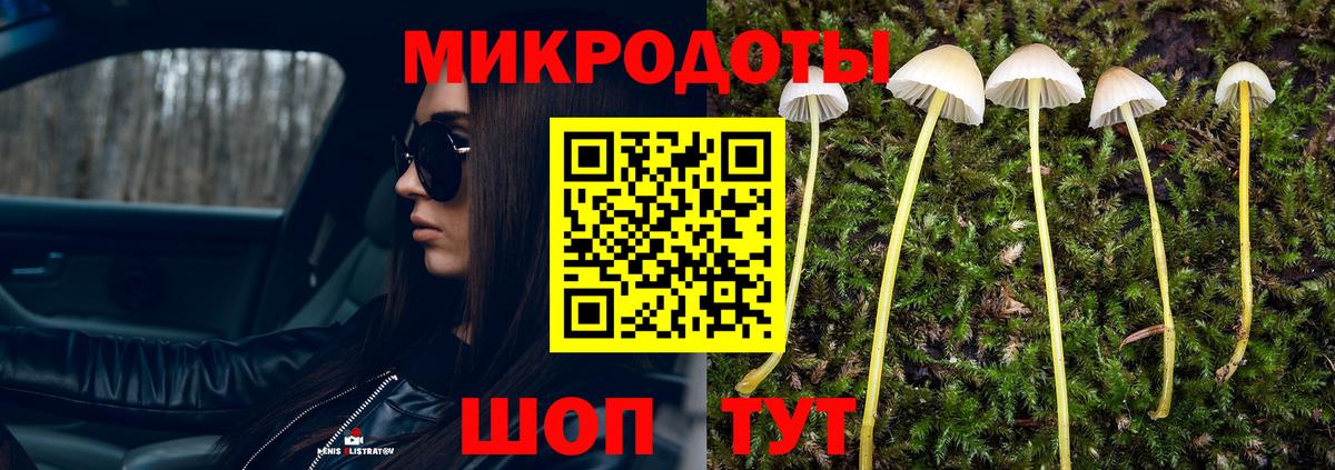 Псилоцибиновые грибы Psilocybe  Вход с VPN  Шахты 
