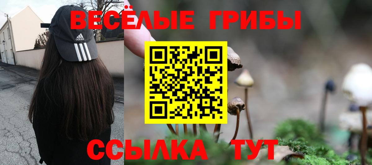 Псилоцибиновые грибы GOLDEN TEACHER Шахты